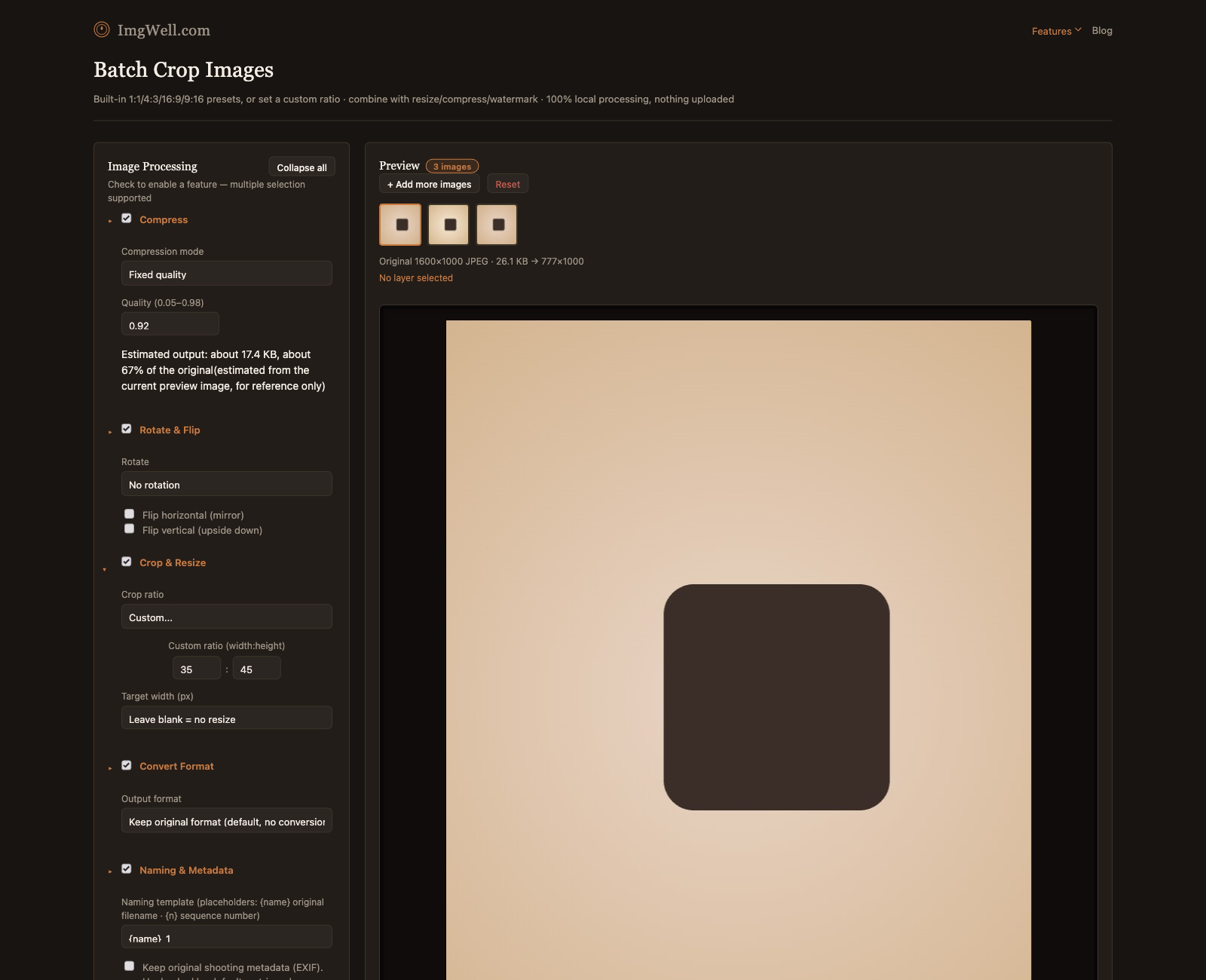ImgWell's Crop & Resize panel with the custom ratio fields set to 35:45 for a UK/EU visa photo